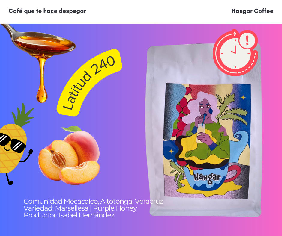 Latitud 240 | Cosecha Power Fem! 💜💪