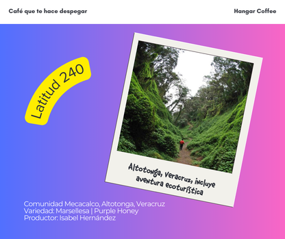 Latitud 240 | Cosecha Power Fem! 💜💪