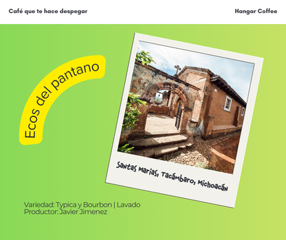 Ecos del Pantano | Typica y Bourbon Lavado