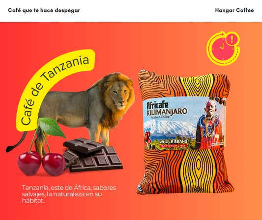 Hangar Coffee – Café de Tanzania 250 g | Tueste Medio