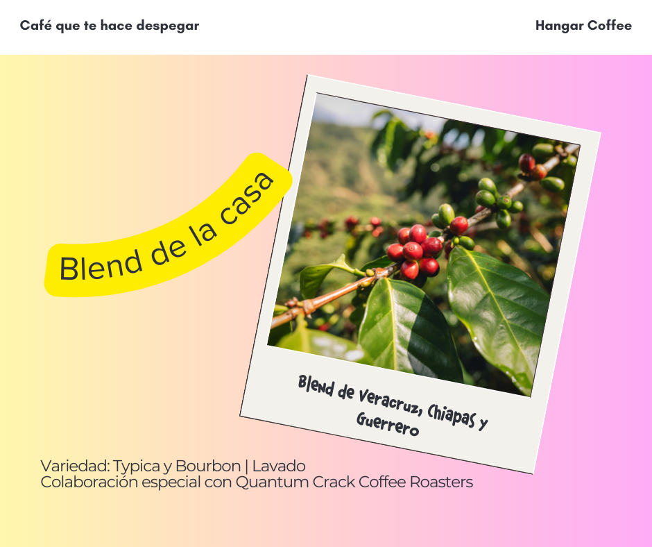 Blend de la casa - Naranja y maple 🍊🍁