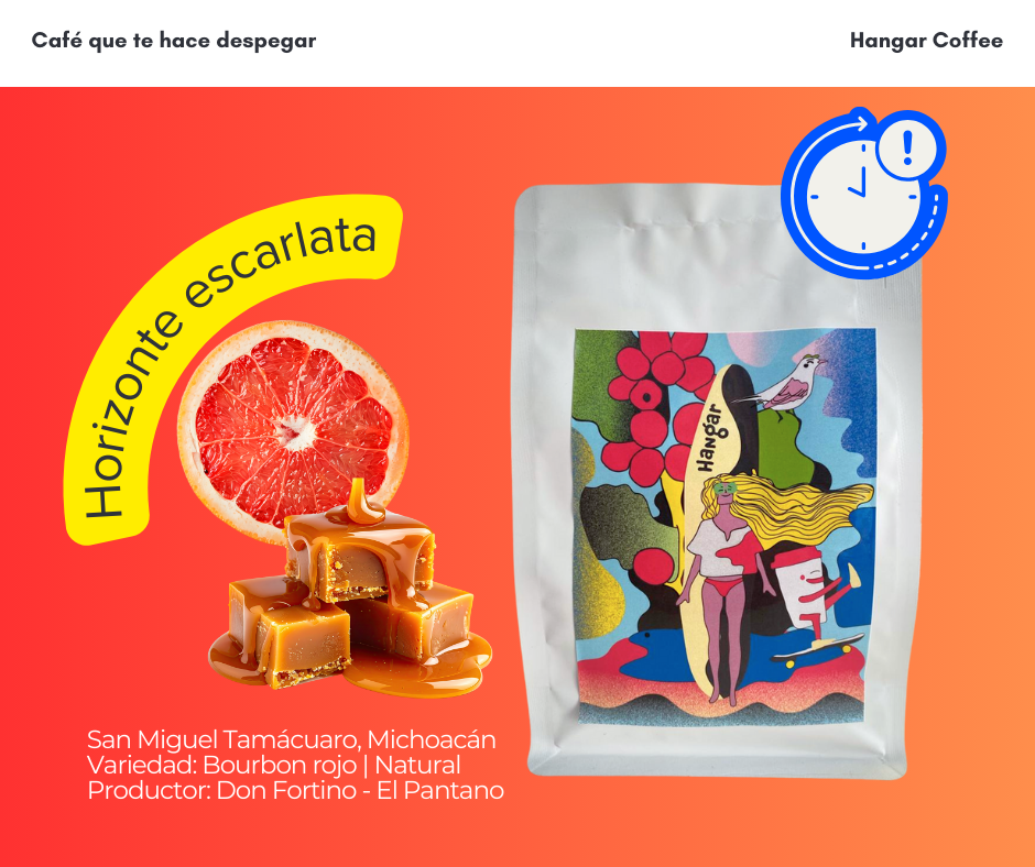 Hangar Coffee - Café de especialidad - Bourbon Rojo - Natural - Frutal - 250 g.