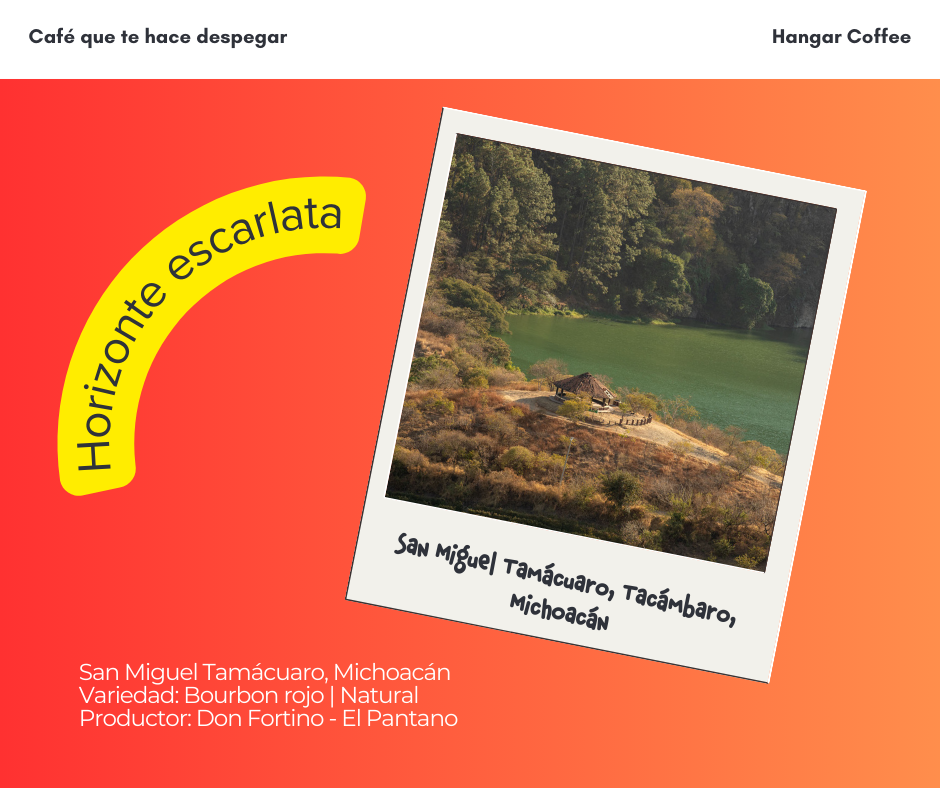 Hangar Coffee - Café de especialidad - Bourbon Rojo - Natural - Frutal - 250 g.