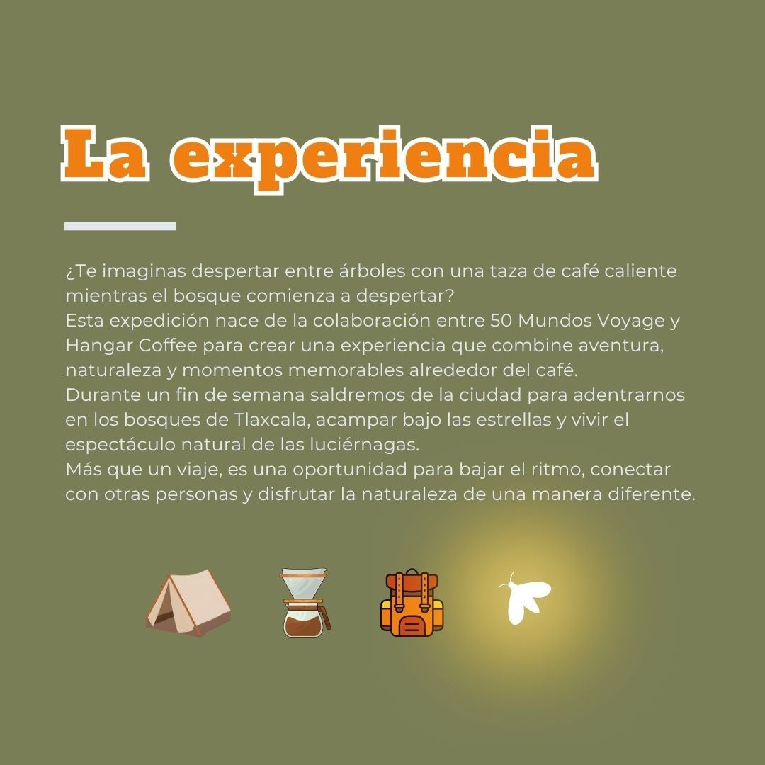 Camping entre Luciérnagas y Café