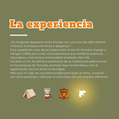 Camping entre Luciérnagas y Café